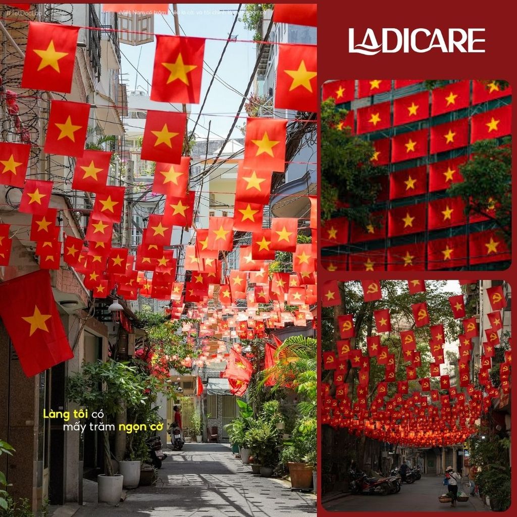 Cờ Việt Nam, cờ dây Sao Vàng & Đảng trang trí ngày lễ 30/4, 2/9 chất liệu lụa satin dày đẹp treo ban công, treo nhà