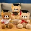 BEABOUT 18cm Bác Sĩ Gấu Đồ Chơi Sang Trọng, Búp Bê Thú Nhồi Bông Mềm Mại Dễ Thương, Hoạt Hình Sáng Tạo Hoa Accessorie DIY Tốt Nghiệp Tốt Nghiệp