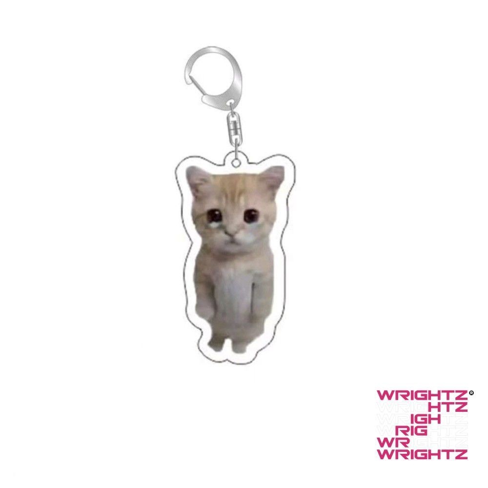 Rambling dê huh mèo Meme Keychain nhầm lẫn mèo memes mèo la hét với bàn chân trên đầu của nó món quà dễ WrightZ