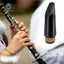 Máy phát ngôn BB Clarinet để luyện tập chơi phím phẳng B tiêu chuẩn dành cho học sinh mới bắt đầu