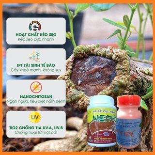 COMBO 1 LỌ RA RỄ NEM VÀ 1 LỌ KEO LIỀN SẸO MỸ TIẾN - Giúp ra rễ và liền sẹo khi ghép cây trồng