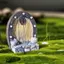 QIUWU 3 Chiếc Cửa Gỗ Nhỏ Khung Ảnh Phụ Kiện Mộc Mạc Nhựa Thủ Công Phong Cảnh Mini Naments Trang Trí Nhà Cây Đồ Trang Trí.
