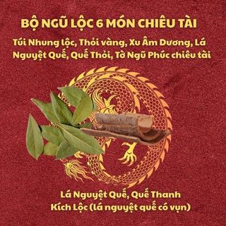Bộ Ngũ Lộc Chiêu Tài 6 Món – Túi Nhung, Xu, Vàng Thỏi, Tờ Ngũ Phúc, Vỏ Thanh Quế, Chỉ Đỏ Đã Khai Quang
