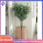 Vỏ cách nhiệt cây chống gió sương giá-Trở dây rút thân thiện với môi trường cho cây trồng trong chậu & cây ăn quả