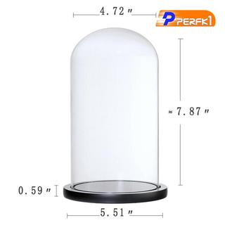 Bình trồng cây và hoa có nắp và đế f / Store Trang trí trưng bày tại nhà
