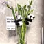 HFTOY Kawaii Panda Sang Trọng Đồ Chơi Búp Bê Động Vật Mềm Gấu Trúc Kẹp Ôm Rèm Kẹp Đồ Chơi Búp Bê ~