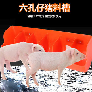 Bể Cho Lợn Dày Cho Ăn Lợn Thức Ăn Cho Bà Bầu Giường Bảo Quản Nhựa Bình Ăn Lợn Bình Ăn Xe Tăng Thức Ăn TWRD