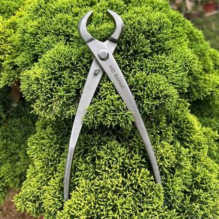 CẠP TRÒN HD BONSAI - Bản cao cấp - sử dụng bo tròn, tạo rãnh cho cây bonsai, cây cảnh