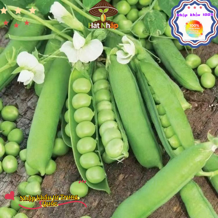 Hạt giống đậu Hà Lan，Ngọt và giòn, 20g bao bì gốc, k032
