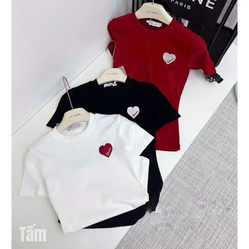Áo thun croptop dáng ôm cổ trụ 5 cúc thêu cờ AA - Giảm giá 60% khi mở bán!