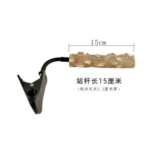 Cá rô vẹt huấn luyện bô - Giá đỡ gỗ tiêu kẹp cho Budgie Cockatiel & Lovebird
