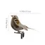 PWSSEND 6 Chiếc Chim Sẻ Nhân Tạo, Phụ Kiện DIY Xốp Mô Phỏng Chim Sẻ, Lfelike Thủ Công Thủ Công Ảnh Đạo Cụ Với Kẹp Giả Xốp Làm Phong Cảnh Chim