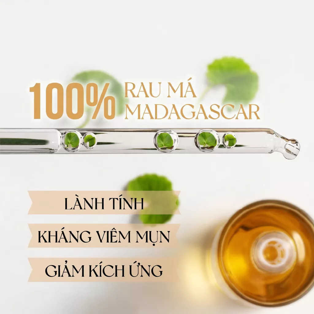 Skin1004 Madagascar Centella – Gel Dưỡng Dịu Nhẹ, Phục Hồi & Cấp Ẩm Hàng Ngày