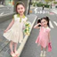 Đầm Bé Gái Mùa Hè Không Tay Trái Tim Tình Yêu Polo 80-160 Size R6HJ