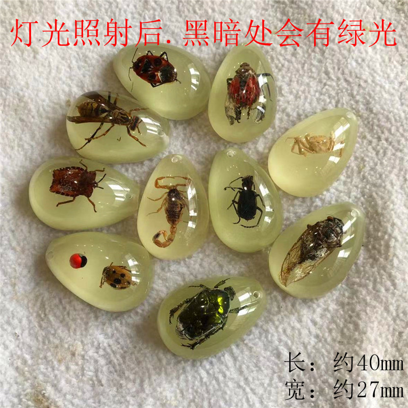 Dạ Quang Hổ Phách Thật Côn Trùng Mẫu Trẻ Em Khai quật Khảo Cổ Học Bí Ẩn Hộp Mặt Dây Chuyền Phụ Kiện Nhựa Côn Trùng Hổ Phách Sinh Viên Khoa Học Phổ Biến Giảng Dạy Mặt Dây Chuyền Quà Tặng