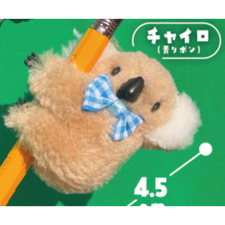 [BTF] Hàng có sẵn Nhật Bản AMUSE Capsule Toy Koala Baby Hug Trang trí sang trọng Dễ thương Wombat LO7M