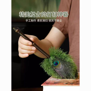 Gió Đầu Vào Duster Phong Cách Trung Quốc, bụi lông vũ đà điểu, trang trí không gian JS1U