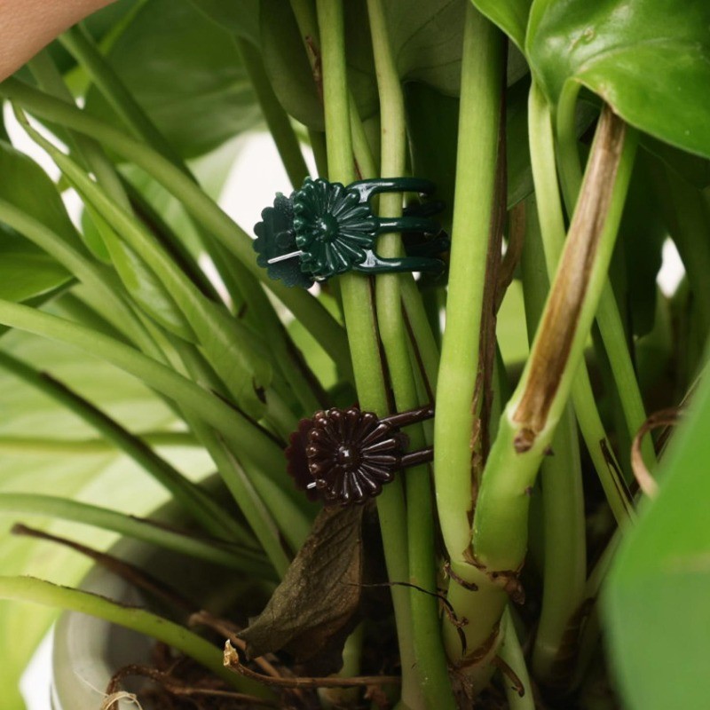 Kẹp ghép dây leo bằng nhựa đa năng- Kẹp trồng cây trong chậu phong lan- 50 / 100 Cái Kẹp cố định nhánh cây trong vườn