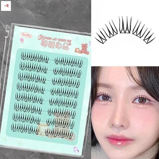 Lông mi giả tự nhiên hiệu ứng 3D - Phần mở rộng mi riêng lẻ cho người mới bắt đầu