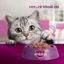Pate WHISKAS Gói 80G Mèo Thơm Ngon Dinh Dưỡng Hàng Ngày - Mèo Phù Thủy