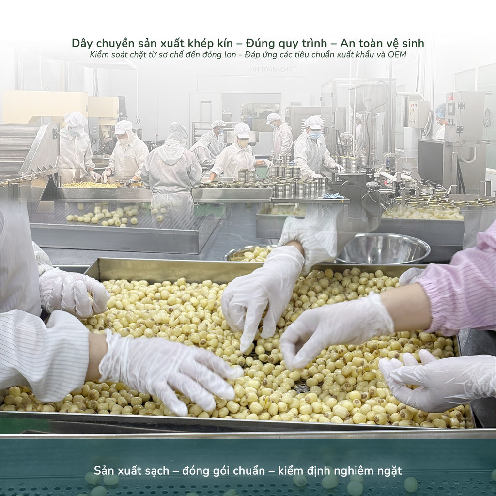 Hạt Sen Ngâm Nước Đường Lotus Hạt Sen Ngọt Bùi 600g, Hạt To Thơm Ngon Ngọt Bùi Thanh Mát
