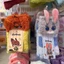 Zootopia 2 Nick Wilde Judy Hopps Tất Sang Trọng Nhà Hoạt Hình Ấm Áp Một Đôi Tất Nhung Đa Năng