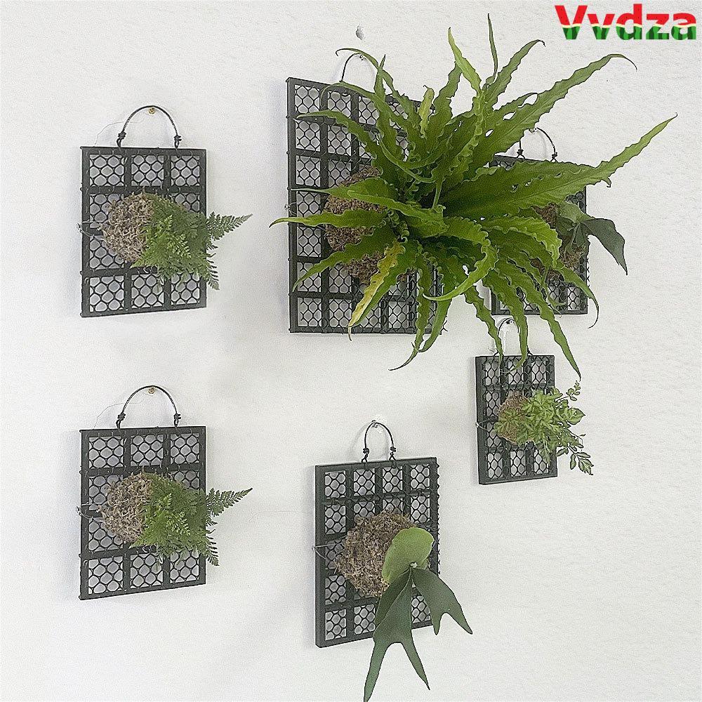 VVDZA Bảng treo trồng lan Dendrobium/Staghorn Fern, trang trí đen, nhựa