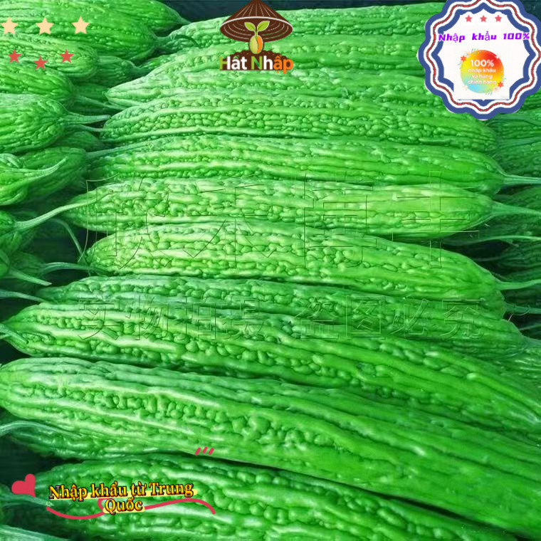 Hạt giống mướp đắng xanh siêu trái，1cái túiKhoảng 10 viên thuốc，-k007