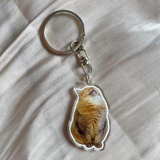 GANTUNGAN KUNCI MEME KUCING KEYCHAIN KUCING LUCU UNIK / GANCI CAT ACRYLIC / GANTUNGAN TAS GAMBAR KUCING - Ngomel