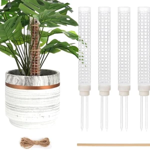 Rêu Cực Cho Cây Thực Vật Nước Rêu Trụ Cột Rêu Chân Đế Leo Núi Hình Dừa Xanh Lá Cây RZMC