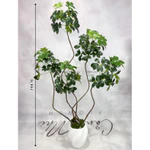 Cây Giả Ngũ Gia Bì Nhập Khẩu Lá Nhựa In 5D Không Chậu – Decor Phòng Khách Văn Phòng Khách Sạn Nhà Hàng – Cảnh Nhi Flower — ảnh 4