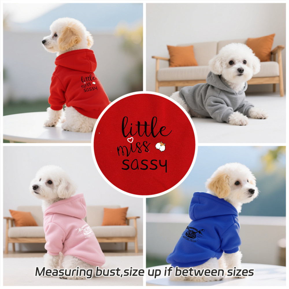 Size S-2XL: Áo hoodie cho thú cưng, phong cách chui đầu, Corgi và in đầu xe máy, có sẵn 5 màu, mềm mại, thoáng khí, ấm áp, có thể giặt được bằng máy, thích hợp cho tất cả các giống chó nhỏ.
