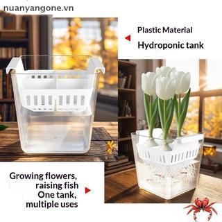 Nuanyangone.vn Hộp Đựng Thủy Canh Có Giỏ Hỗ Trợ Thoáng Khí Hạt Thủy Canh 4 Lỗ Chậu Hoa Không Đất Trang Trí Nhà Cửa Mới