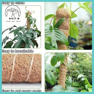 [wellstay1] 1 Chiếc Hỗ Trợ Cây Cực Rêu - Cây Trellis Rêu Cực Cho Cây Monstera - Rêu Cực Cho Cây Leo Cây Hỗ Trợ Sti [VN]