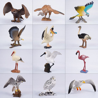 Đồ chơi mô hình động vật chim thực tế Vẹt Falcon Owl Flamingo Giáo dục Quà tặng trẻ em