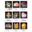 TAKARA TOMY Pokémon Moncolle Series (MS-01 ～ MS-60) Figures Collection Pocket Monsters