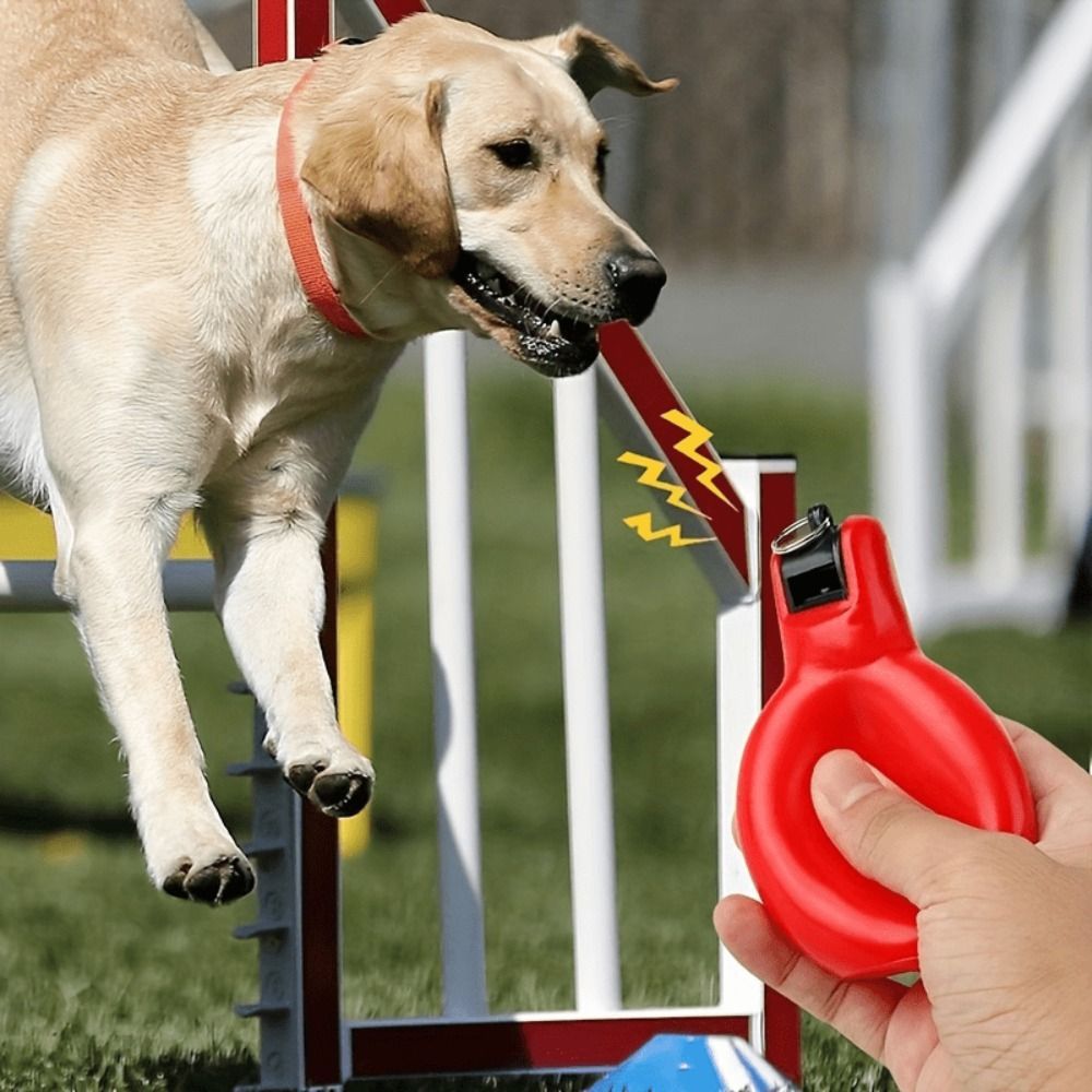 Còi bóp tay LACYESUK - Có dây buộc, âm thanh lớn, phù hợp cho hoạt động thể thao ngoài trời