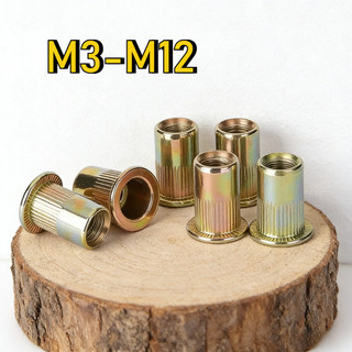 đai ốc rút, ecu rivet rút, tán rút các loại（mạ kẽm màu）  /Tán ecu rút Mạ kẽm size  M3M4M5-M12 【LXY-G1】