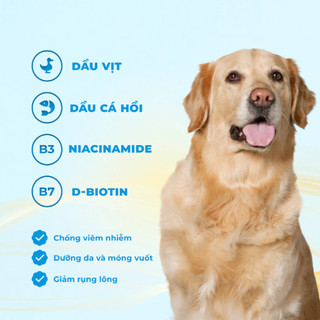 Hạt Cho Chó Mr.Vet D1 1.4kg Dòng Hạt Holistic Mix Topping Vị Thịt Cừu Non Và Rau Củ