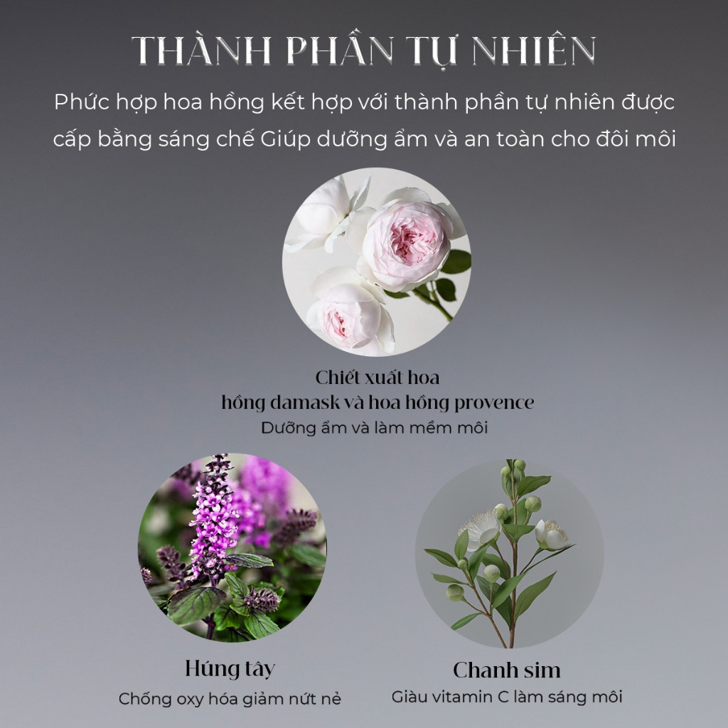 Son Lì MUZIGAE - Môi căng mọng, màu sắc rực rỡ, bền màu suốt ngày