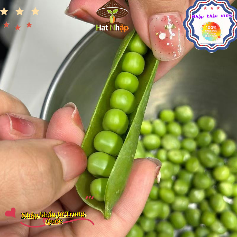 Hạt giống đậu Hà Lan，Ngọt và giòn, 20g bao bì gốc, k032