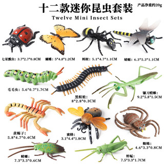 Mô Hình Bò Sát Thực Tế Mô Phỏng Cá Sấu Cá Sấu Rùa Python Nhện Thằn Lằn Chameleon Vua Rắn Hổ Mang Cây Ếch Bọ Cạp
