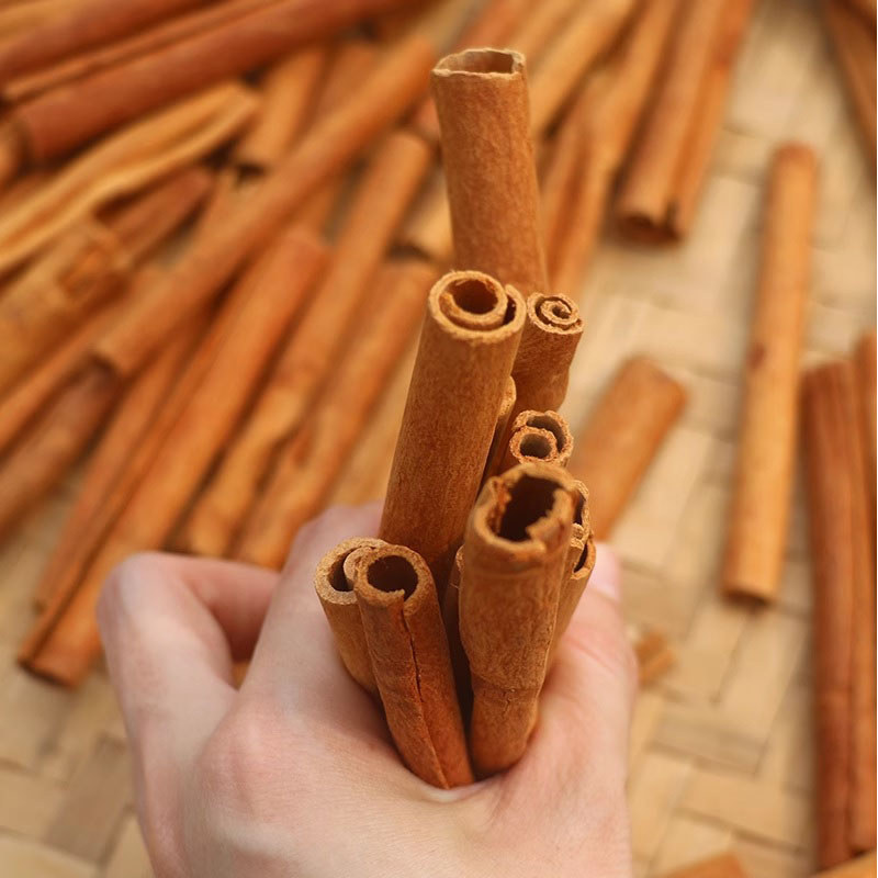 Thanh Quế Cinnamon Nguyên Chất Vipep Lọ 20g, Gia Vị Nấu Ăn Thơm Ngon Chuẩn Vị