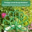 FANIELLAPOWELL Hình Con Công Trellis, Giá Đỡ Nồi Khung Dính Hỗ Trợ Thực Vật, Khung Leo Hoa Ngoài Trời Hoa Sân