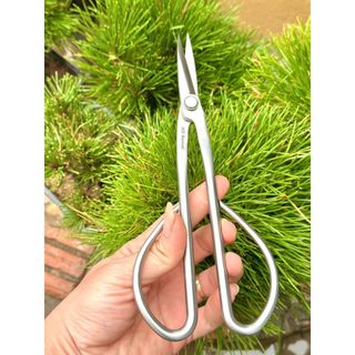 KÉO TỈA DĂM CÂY CẢNH - Bản cao cấp - HD BONSAI Thép trắng không gỉ. Độ dài 210mm Trọng lượng 145g