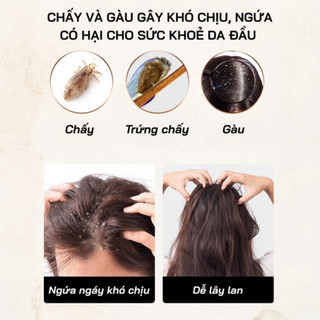 【COD】Lược trúc mát xa truyền thống không chỉ làm sạch gàu mà còn giúp thư giãn tinh thần sau một ngày dài mệt mỏi.