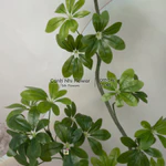 Cây Giả Ngũ Gia Bì Nhập Khẩu Lá Nhựa In 5D Không Chậu – Decor Phòng Khách Văn Phòng Khách Sạn Nhà Hàng – Cảnh Nhi Flower — ảnh 5
