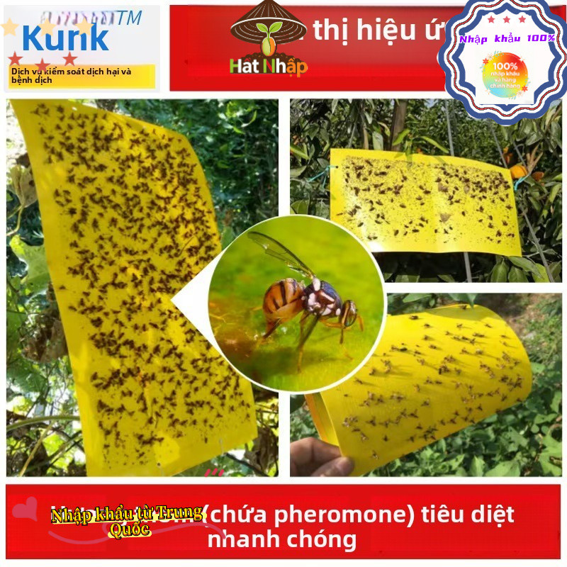 Bẫy ruồi vàng, bẫy màu côn trùng 2 mặt - Hiệu quả với nhiều loài gây hại cho vườn lan, rau hoa màu và cây ăn trái，