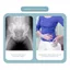 NICOLOO Hông Nẹp, Vải thun Giảm Đau Groin Wrap, Di Động Cao Cấp Màu Đen Hamstring Chấn Thương Bong gân Hỗ Trợ Đùi Nẹp Vải Co Giãn