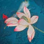 Đế Lót Ấm Trà Hình Hoa Hải Đường Chống Thấm Nước Thảm Trà Đạo Zen Sang Trọng Miếng Lót Ly Cách Nhiệt Chống Trượt (Bộ Combo Cao Cấp)